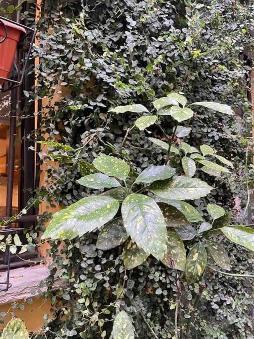 Loft Di Design Nel Cuore Di Milano Exteriör bild